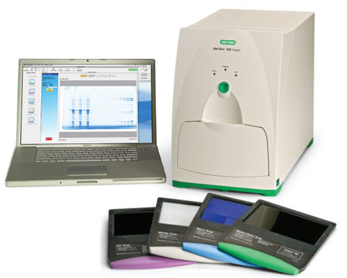 Gel Doc EZ Imaging System Gel Doc EZ Imaging System