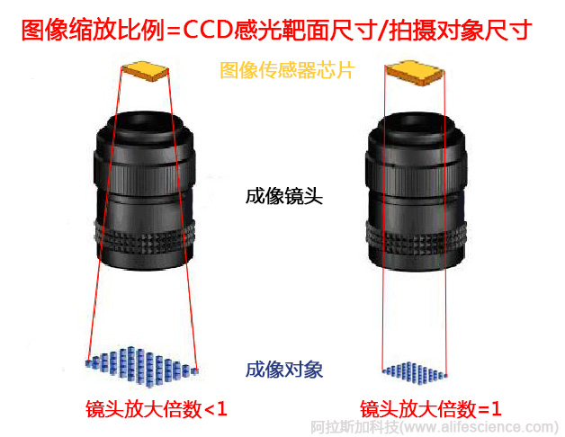 如何有效評(píng)價(jià)凝膠成像分析儀的技術(shù)性能-光學(xué)鏡頭 如何有效評(píng)價(jià)凝膠成像分析儀的技術(shù)性能-光學(xué)鏡頭