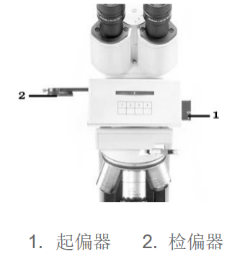 顯微鏡 顯微鏡