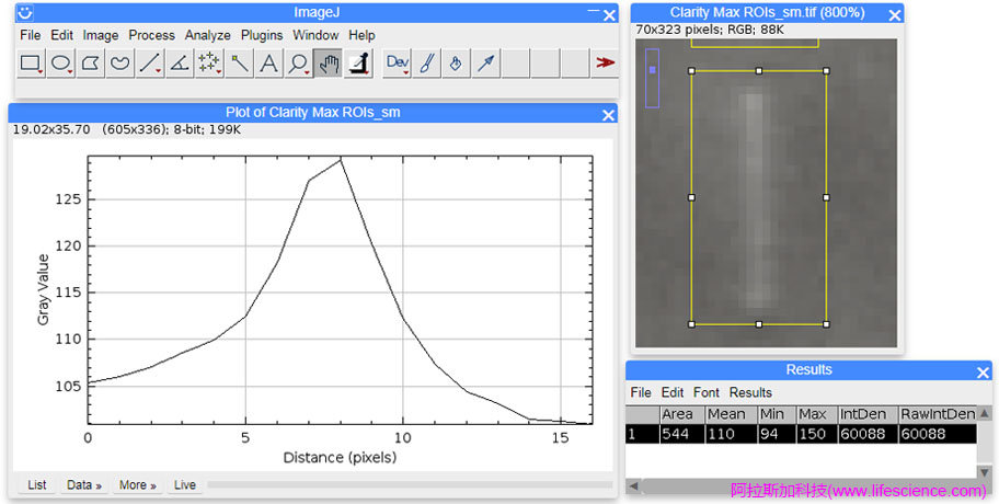 ImageJ軟件Plot Profile的WB條帶選區(qū)ROI峰型圖和統(tǒng)計結(jié)果.jpg ImageJ軟件Plot Profile的WB條帶選區(qū)ROI峰型圖和統(tǒng)計結(jié)果.jpg