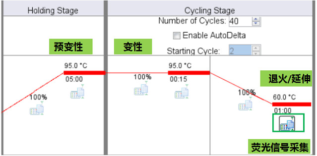 7500 Fast StepOnePlus ViiA7實(shí)時(shí)實(shí)時(shí)熒光定量PCR儀雙溫循環(huán)程序熒光信號(hào)采集時(shí)間設(shè)置.jpg 7500 Fast StepOnePlus ViiA7實(shí)時(shí)實(shí)時(shí)熒光定量PCR儀雙溫循環(huán)程序熒光信號(hào)采集時(shí)間設(shè)置.jpg