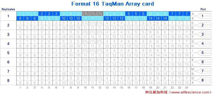 QuantStudio 6 Pro Format 16 TaqMan Array card.jpg QuantStudio 6 Pro Format 16 TaqMan Array card.jpg