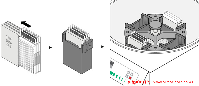 實(shí)時(shí)熒光定量PCR儀TAC離心示意圖.jpg 實(shí)時(shí)熒光定量PCR儀TAC離心示意圖.jpg