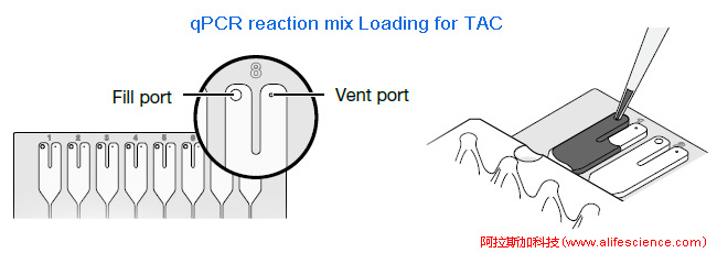 實(shí)時(shí)熒光定量PCR TAC上樣操作示意圖.jpg 實(shí)時(shí)熒光定量PCR TAC上樣操作示意圖.jpg