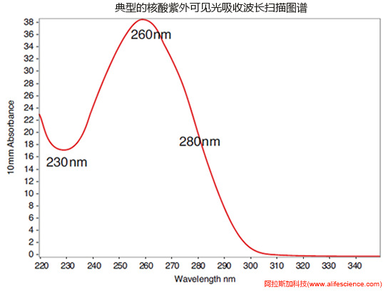 NanoDrop One C的核酸標準紫外波長掃描圖.jpg NanoDrop One C的核酸標準紫外波長掃描圖.jpg