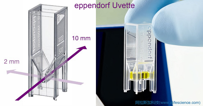 BioPhotometer生物分光光度計UVette比色皿.jpg BioPhotometer生物分光光度計UVette比色皿.jpg
